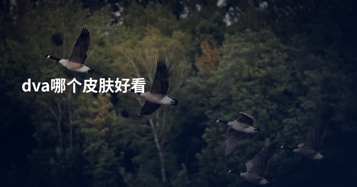 dva哪个皮肤好看