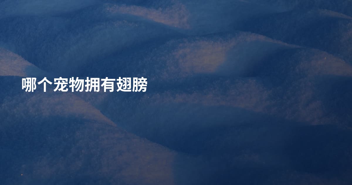 哪个宠物拥有翅膀