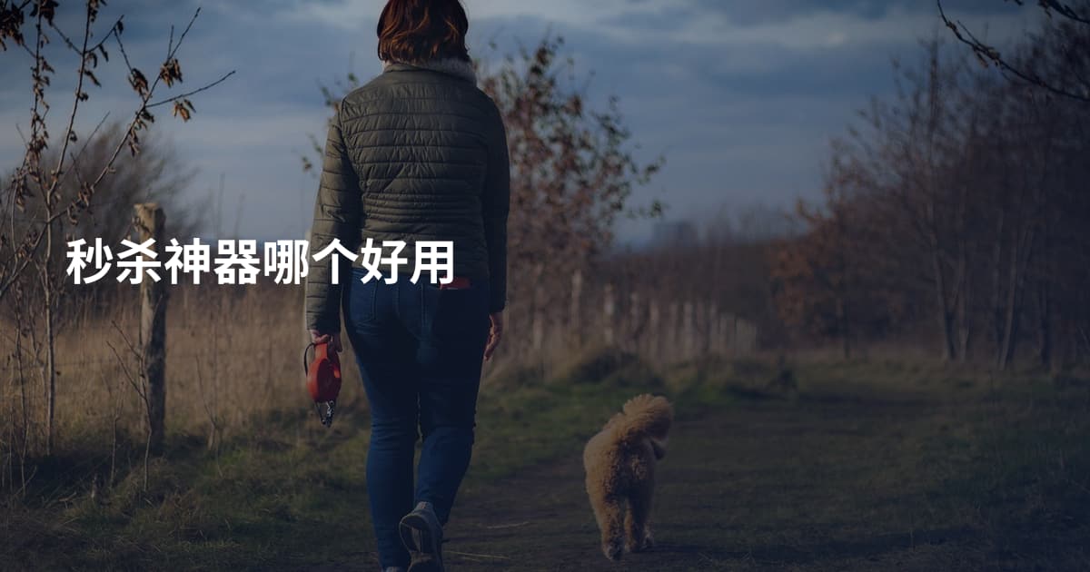 秒杀神器哪个好用