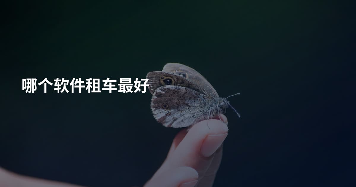 哪个软件租车最好