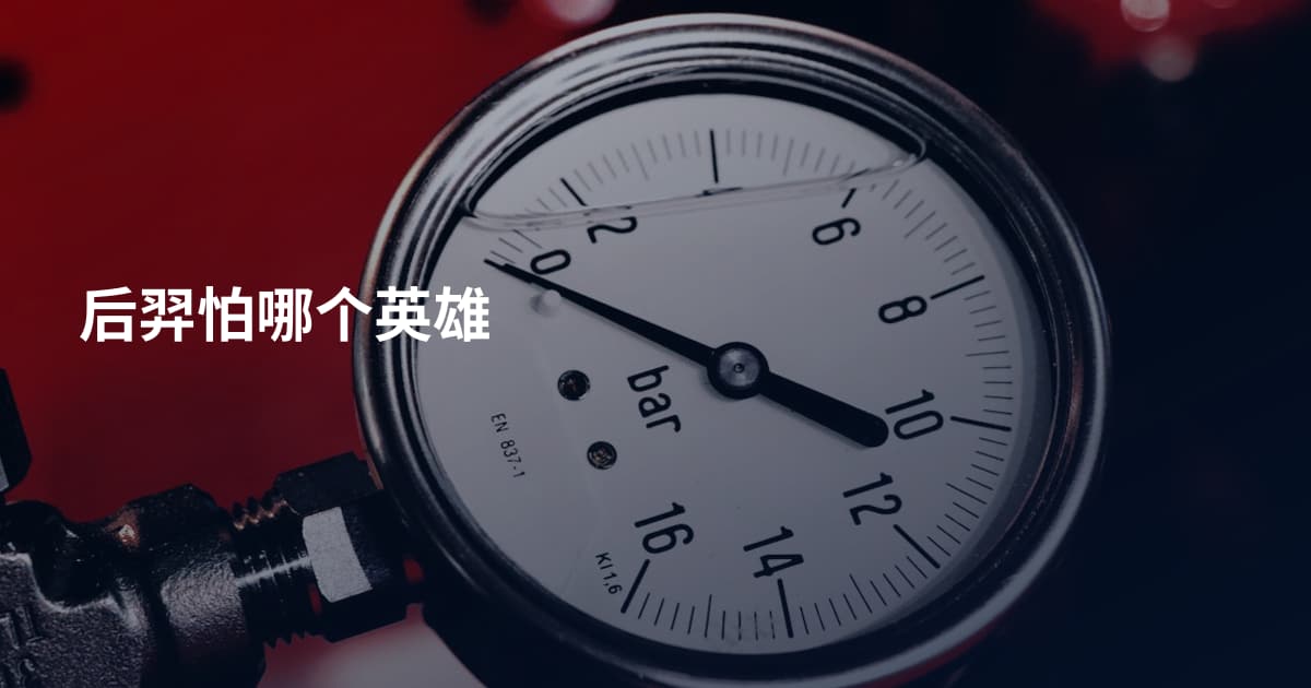 后羿怕哪个英雄