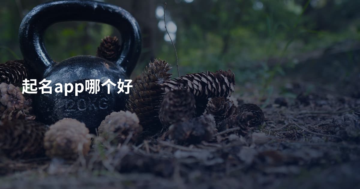 起名app哪个好