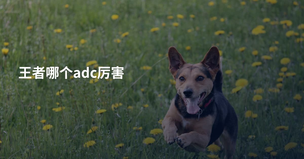 王者哪个adc厉害