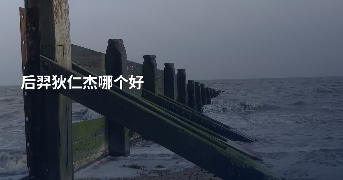 后羿狄仁杰哪个好