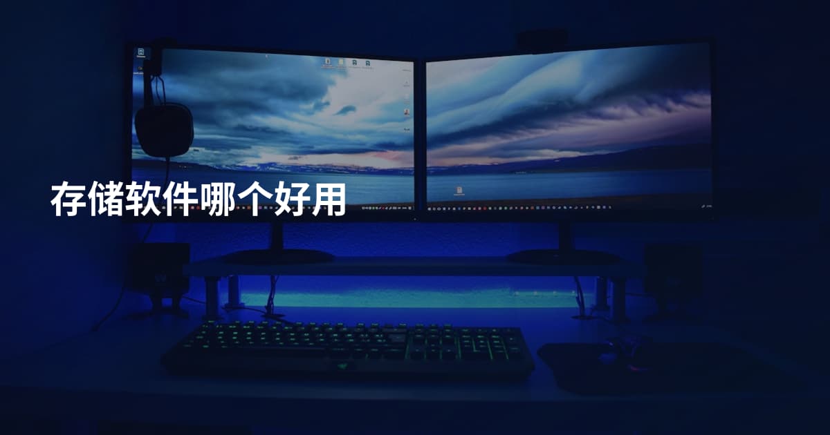存储软件哪个好用