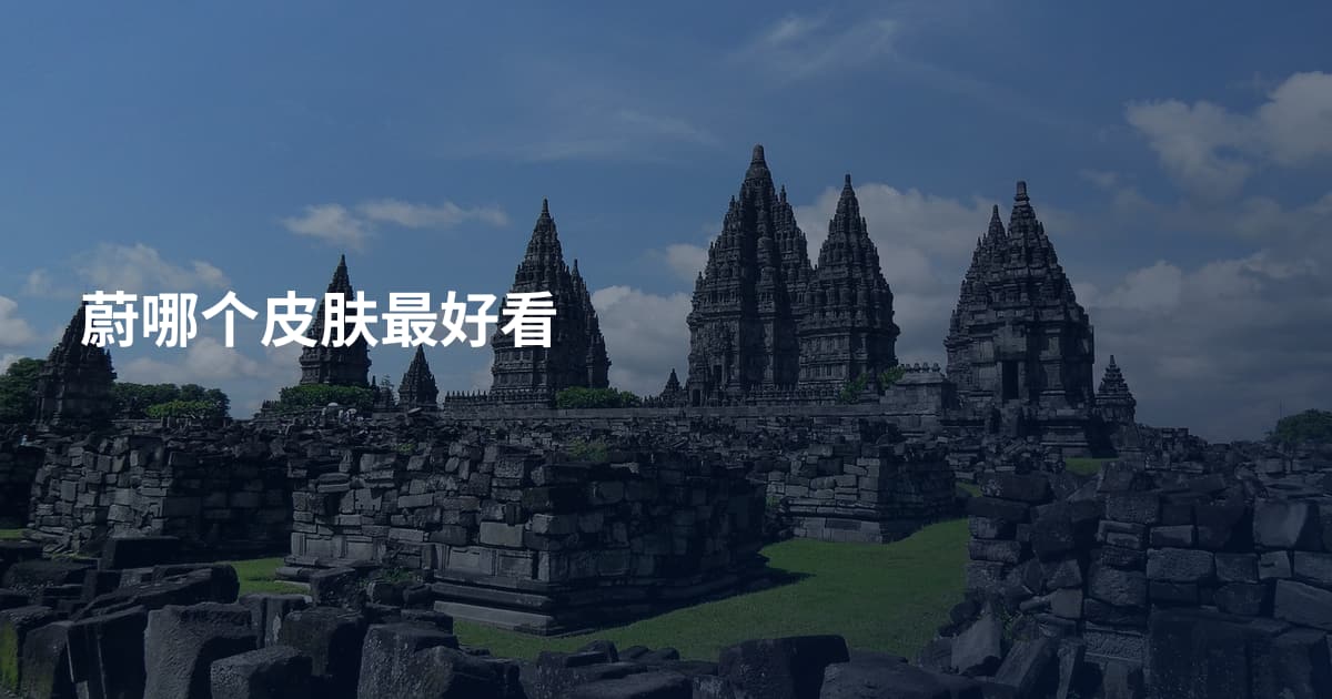 蔚哪个皮肤最好看
