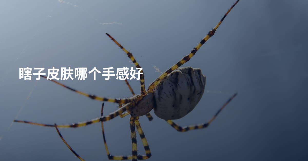 瞎子皮肤哪个手感好