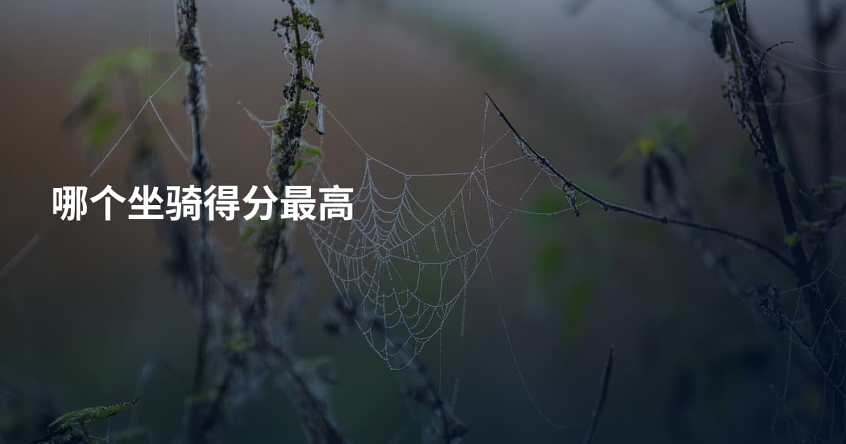 哪个坐骑得分最高