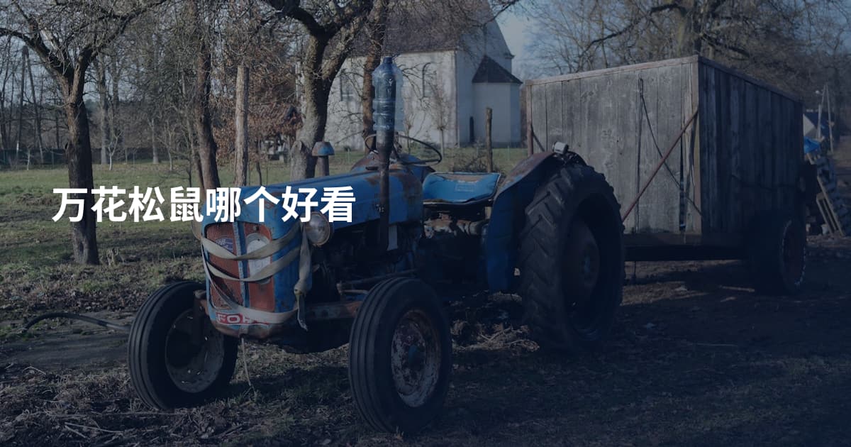 万花松鼠哪个好看