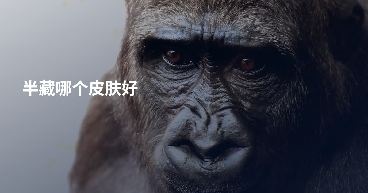半藏哪个皮肤好