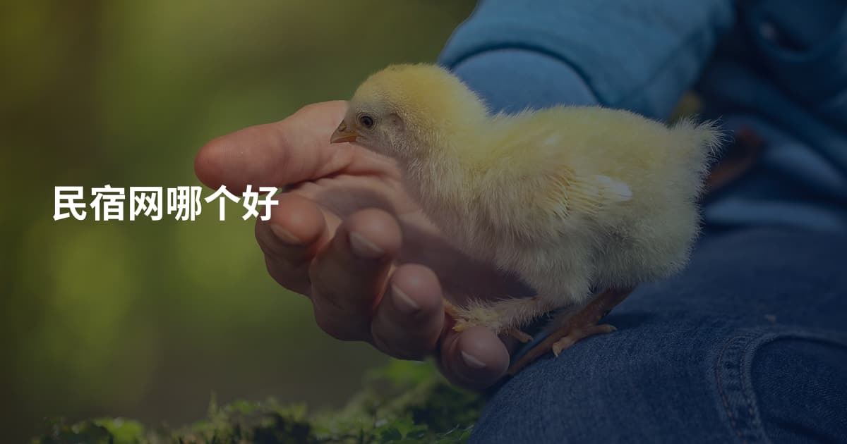 民宿网哪个好