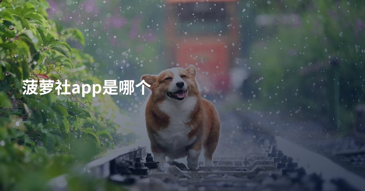 菠萝社app是哪个