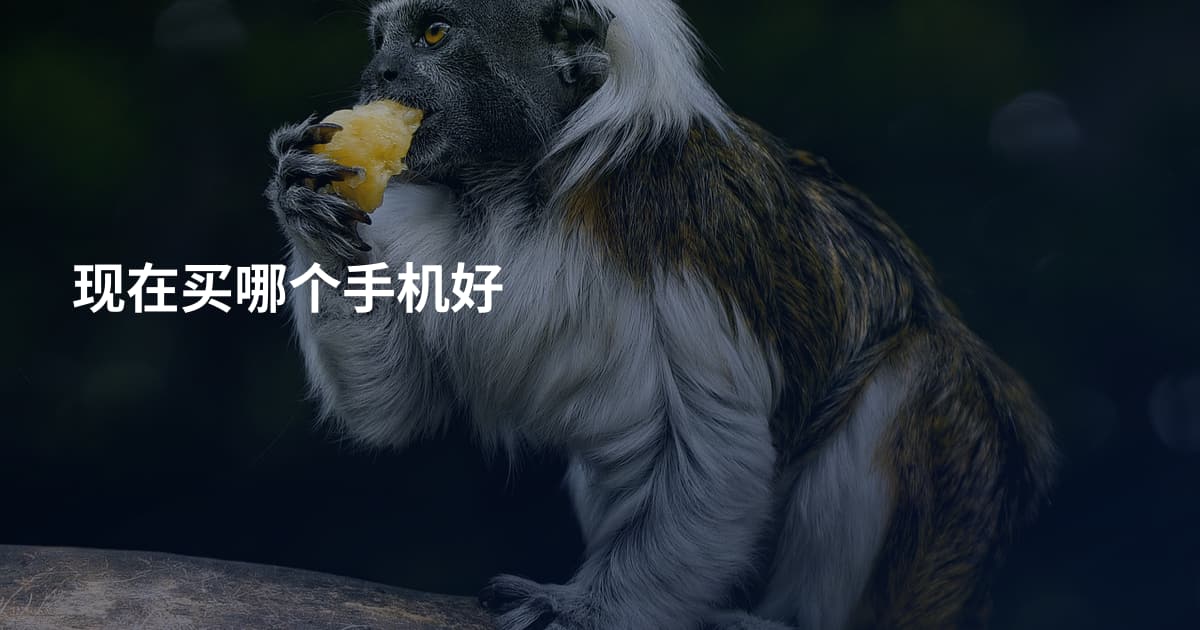 现在买哪个手机好