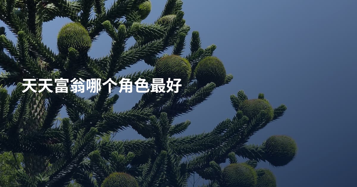 天天富翁哪个角色最好