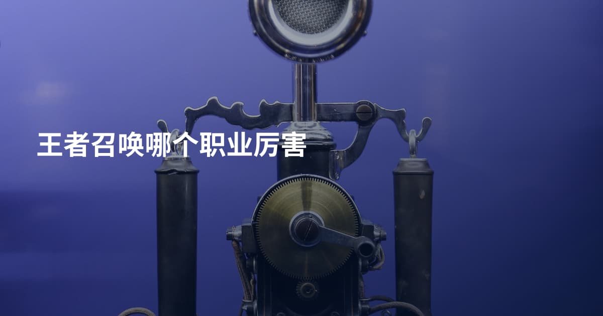 王者召唤哪个职业厉害