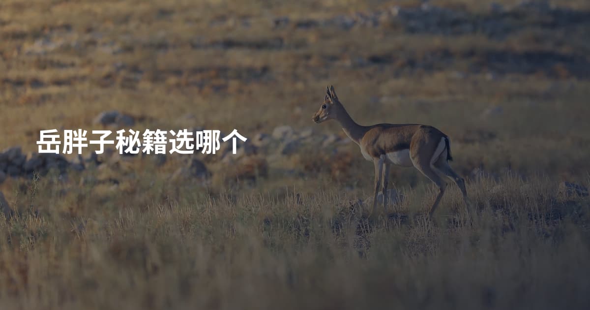 岳胖子秘籍选哪个
