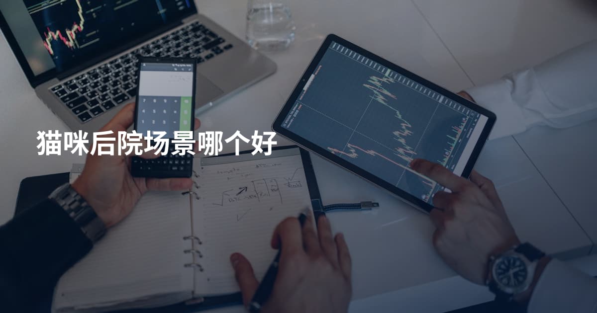 猫咪后院场景哪个好