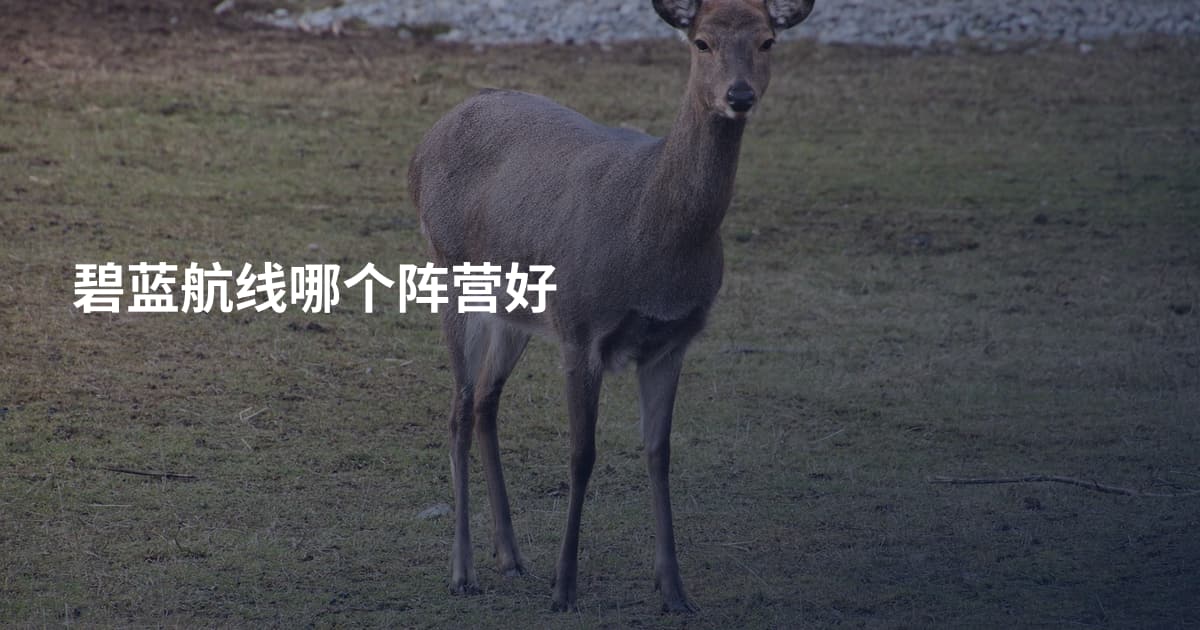 碧蓝航线哪个阵营好