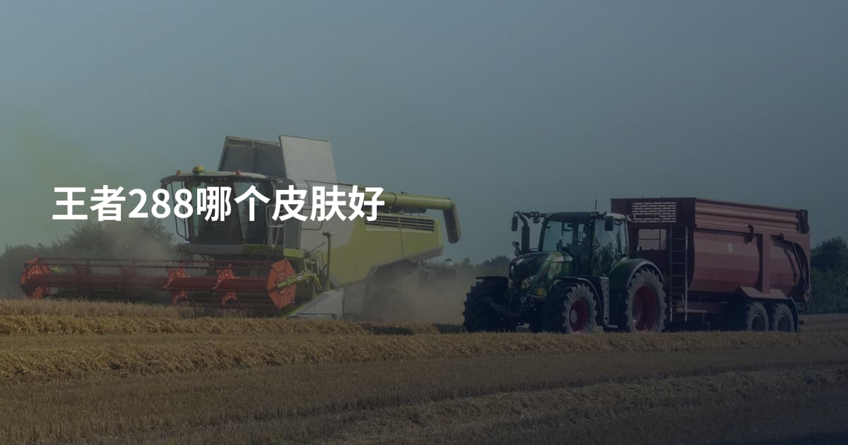 王者288哪个皮肤好