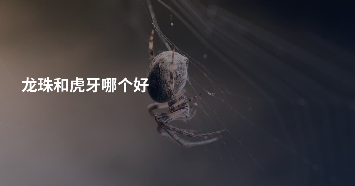龙珠和虎牙哪个好