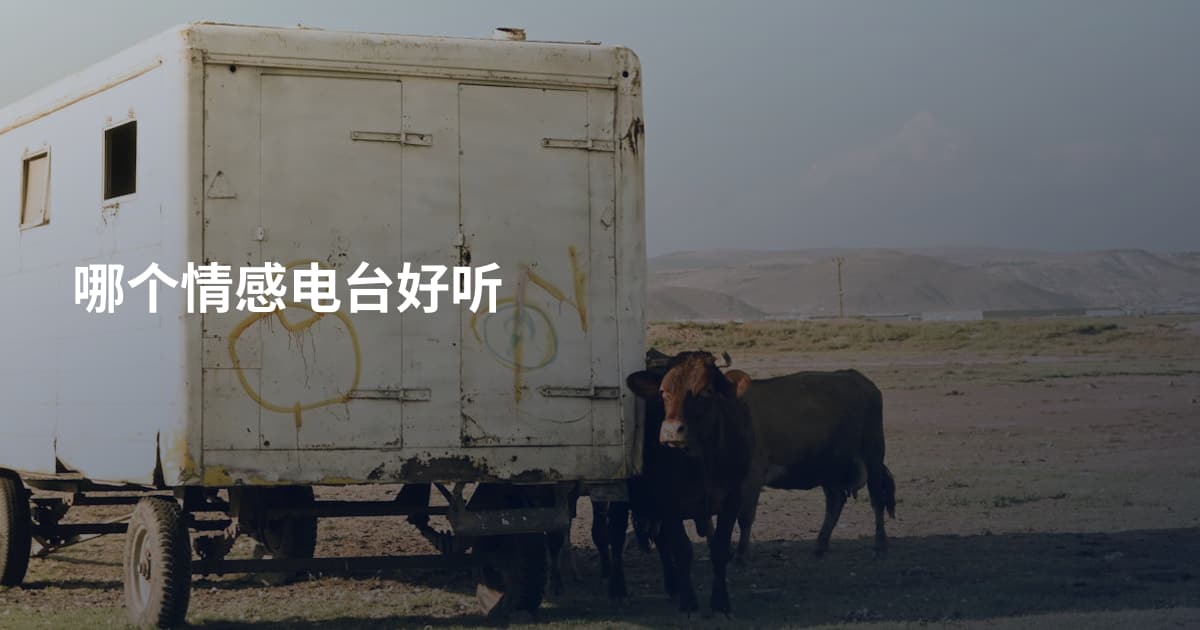 哪个情感电台好听