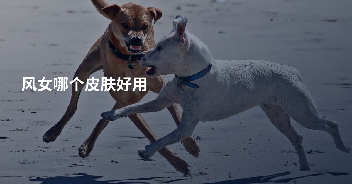 风女哪个皮肤好用