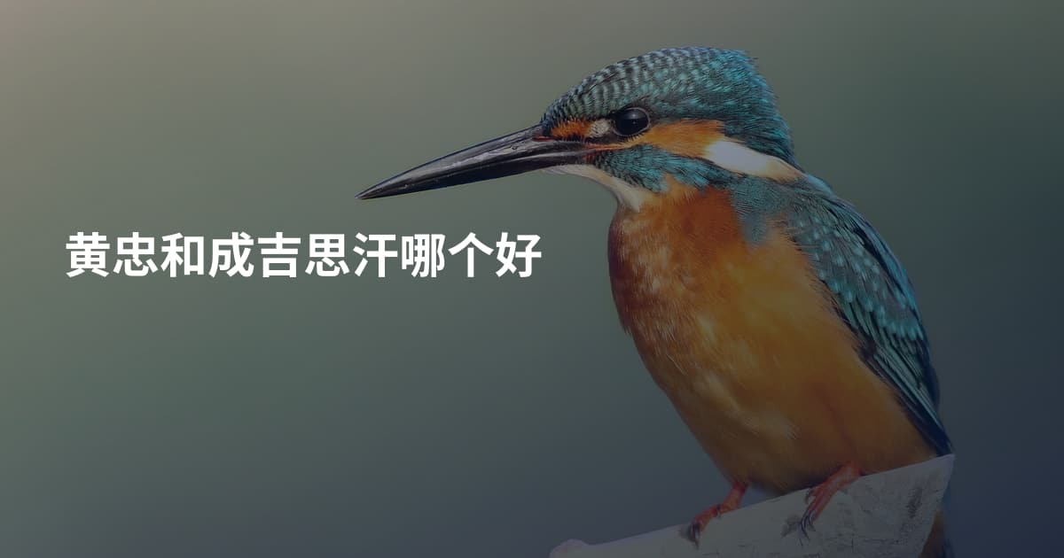 黄忠和成吉思汗哪个好