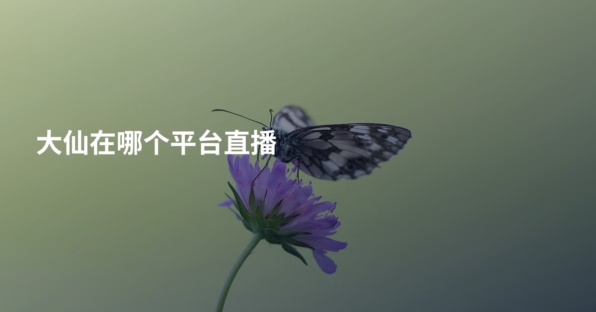 大仙在哪个平台直播