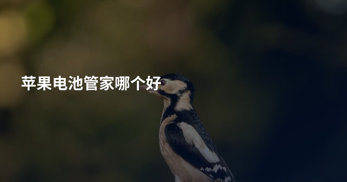 苹果电池管家哪个好