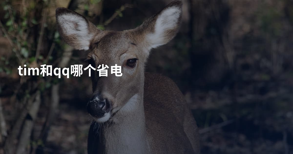 tim和qq哪个省电
