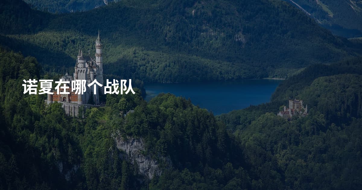 诺夏在哪个战队