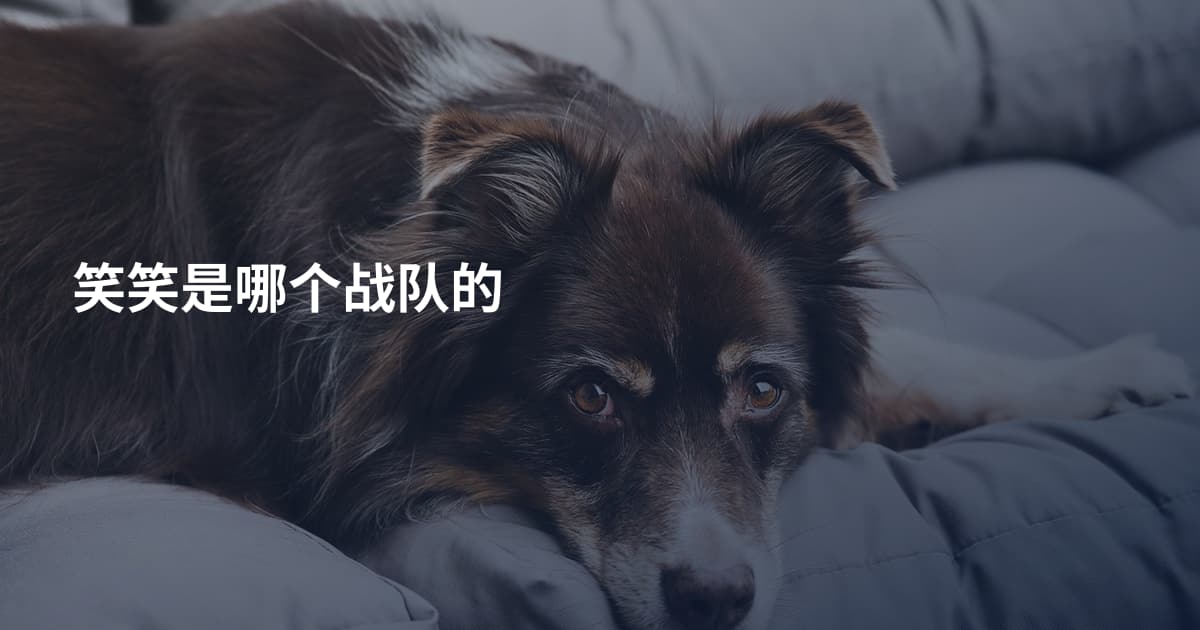 笑笑是哪个战队的