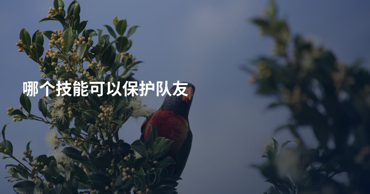 哪个技能可以保护队友