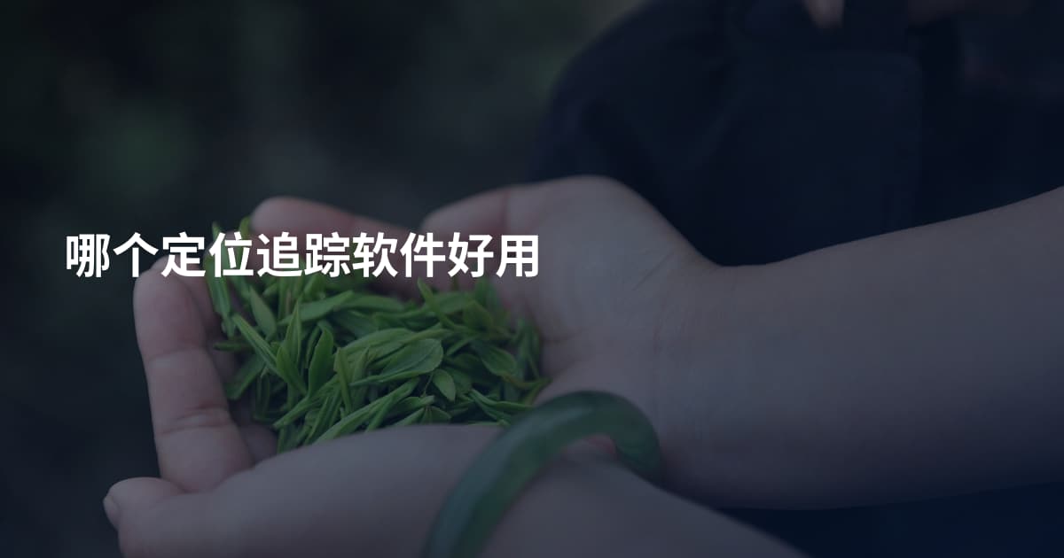哪个定位追踪软件好用