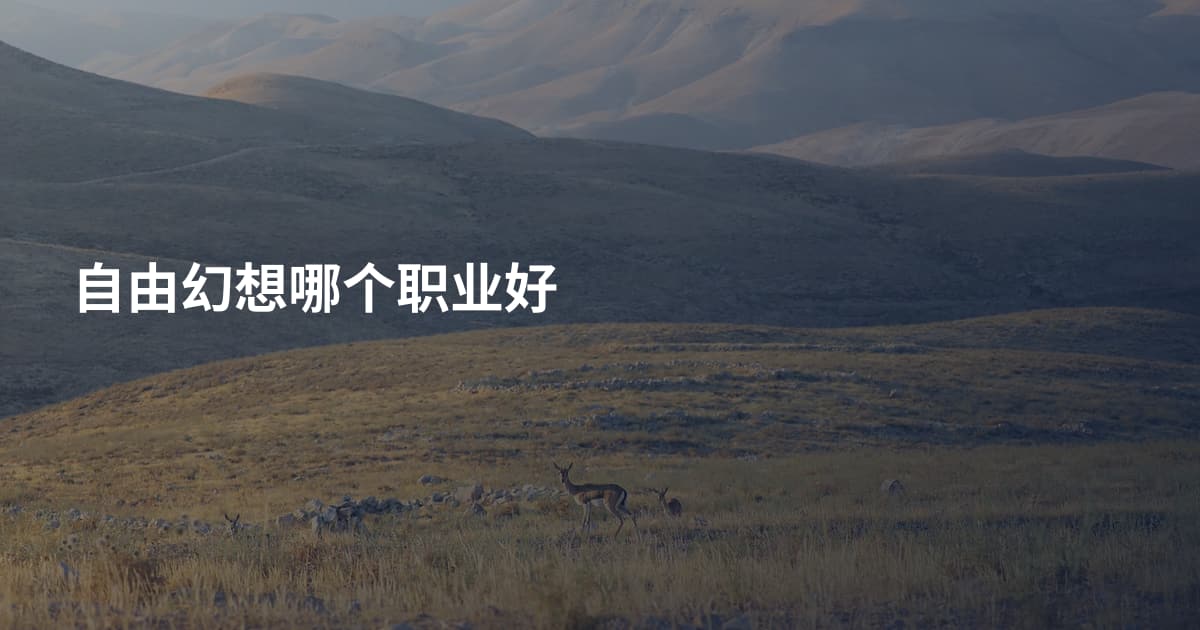自由幻想哪个职业好