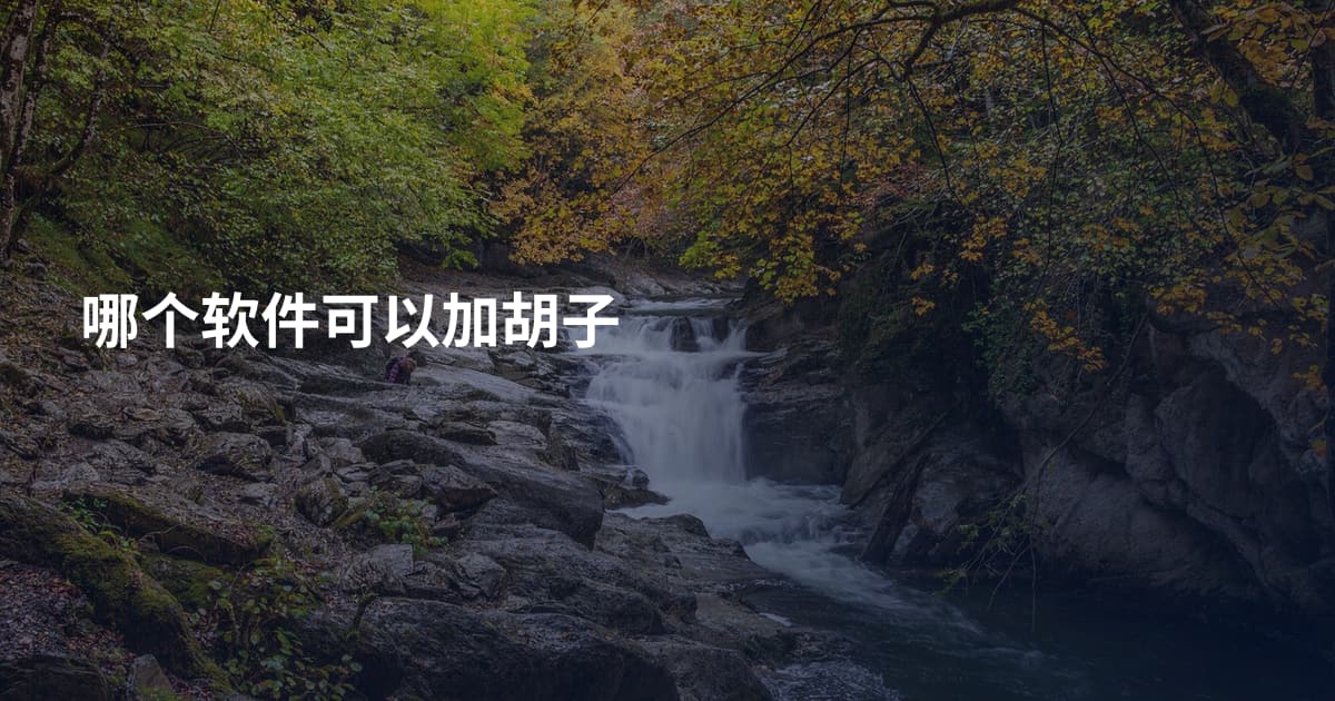 哪个软件可以加胡子