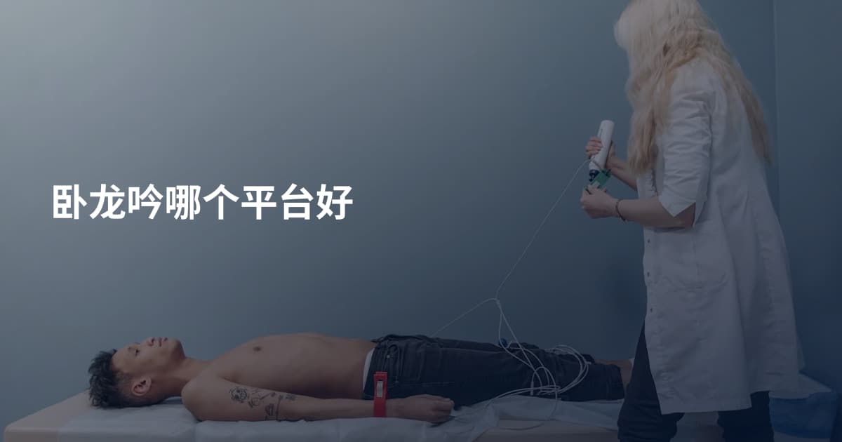 卧龙吟哪个平台好