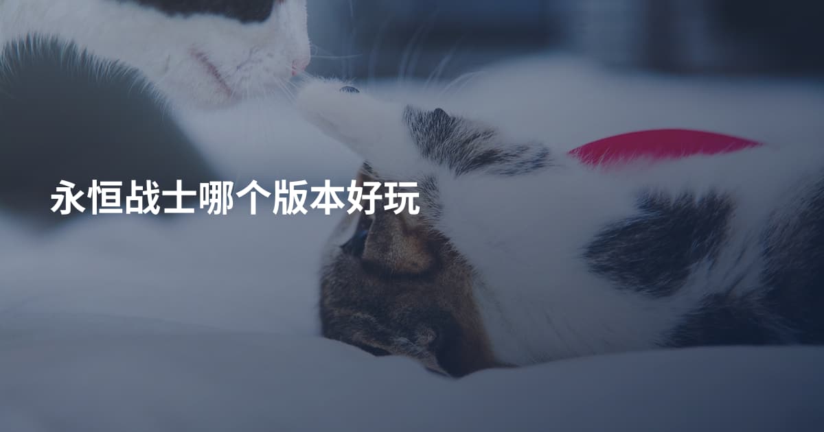 永恒战士哪个版本好玩