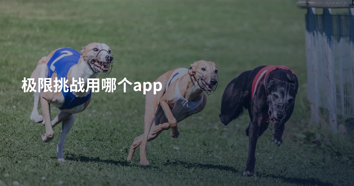 极限挑战用哪个app