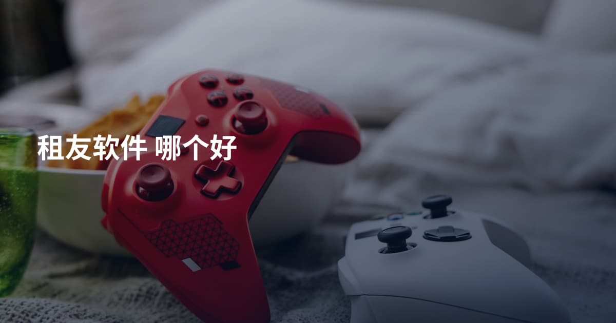租友软件 哪个好
