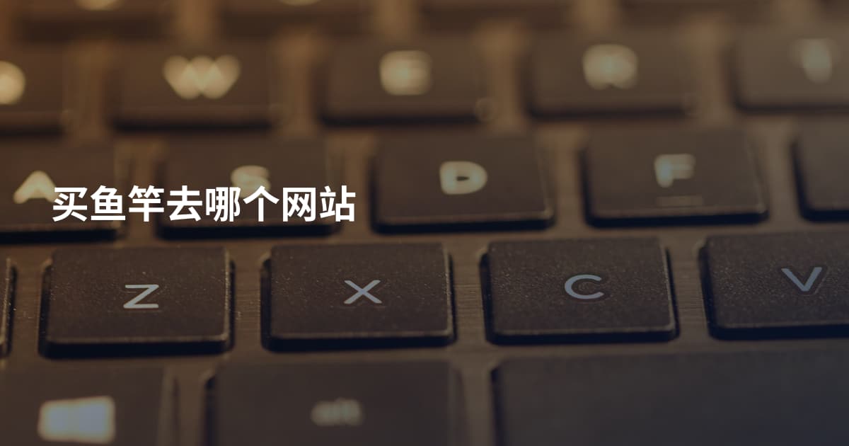 买鱼竿去哪个网站