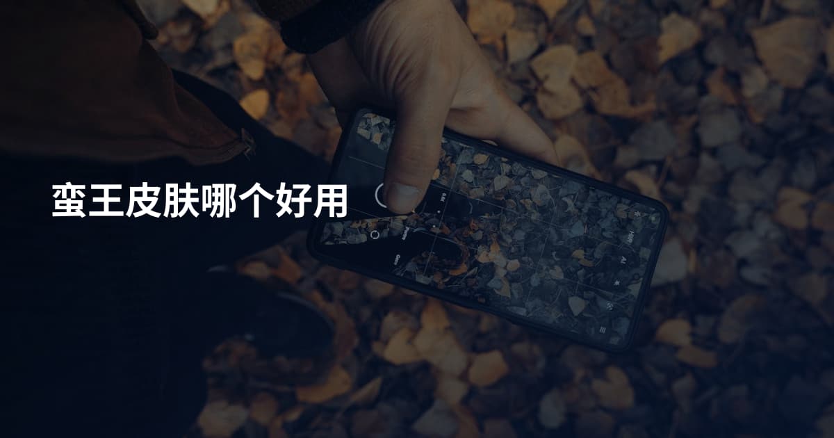 蛮王皮肤哪个好用