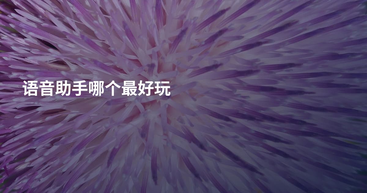 语音助手哪个最好玩