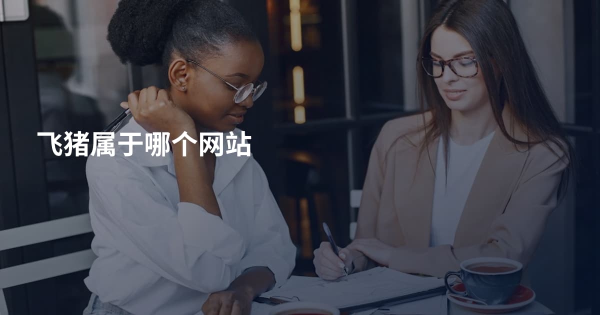 飞猪属于哪个网站