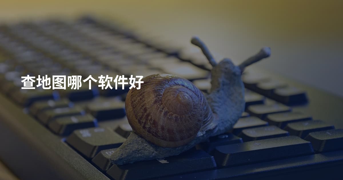 查地图哪个软件好