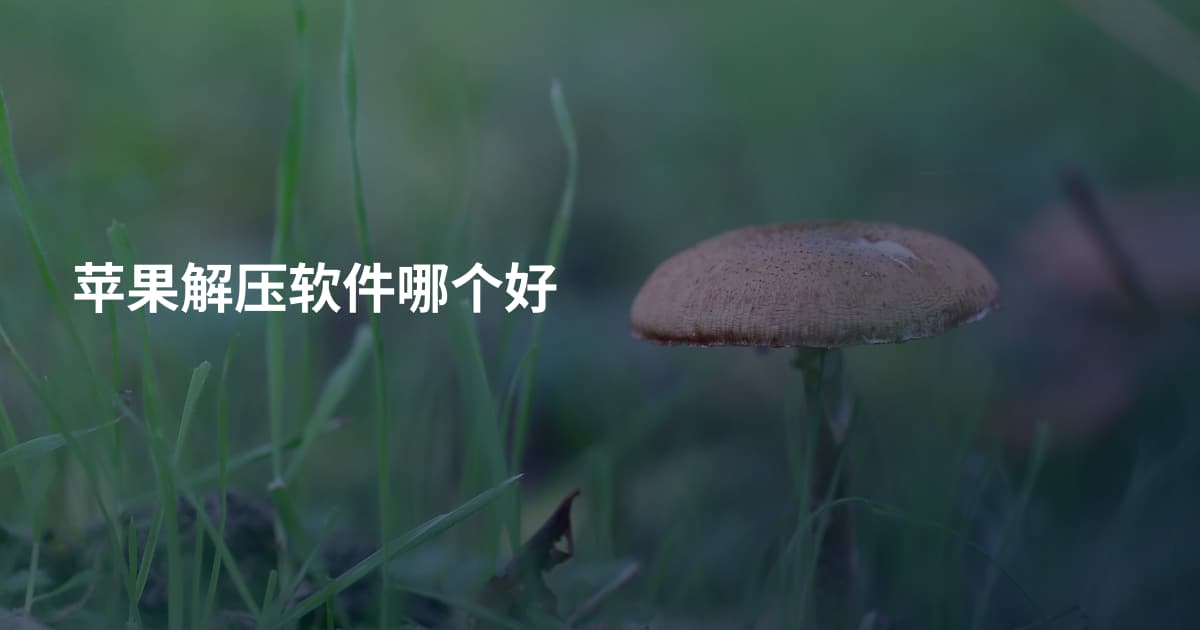 苹果解压软件哪个好