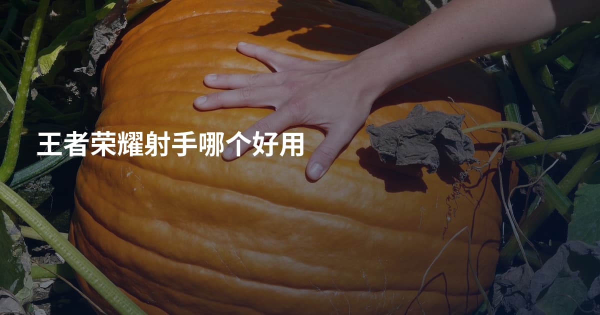王者荣耀射手哪个好用