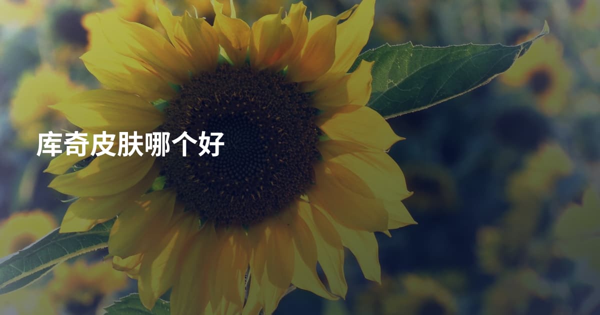 库奇皮肤哪个好