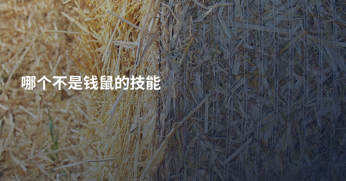 哪个不是钱鼠的技能
