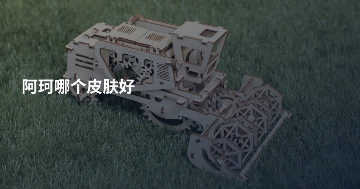 阿珂哪个皮肤好